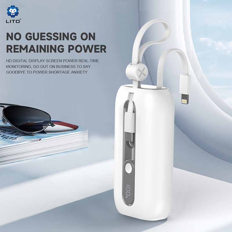 Portable Power Bank